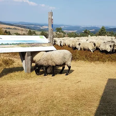 Daire Fewos 4-jahreszeiten Willingen (Upland)