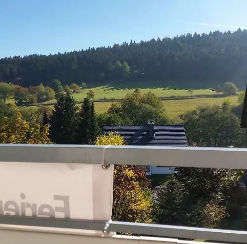 Fewos 4-jahreszeiten Apartment Willingen (Upland)