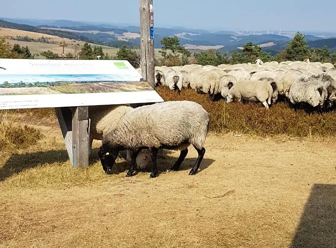 아파트 Fewos 4-jahreszeiten 빌링겐